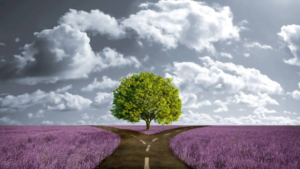 דרך מתפצלת לשתי דרכים שצריך לבחור ביניהן