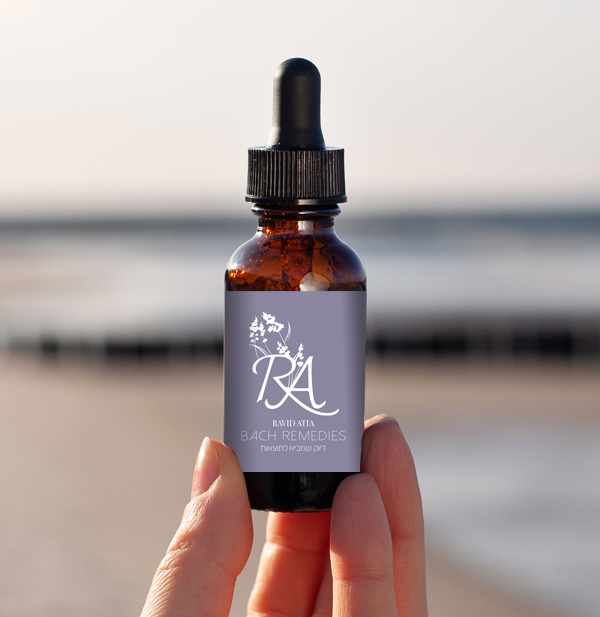 ravid-landing-page2_06 ravid-landing-page2_06