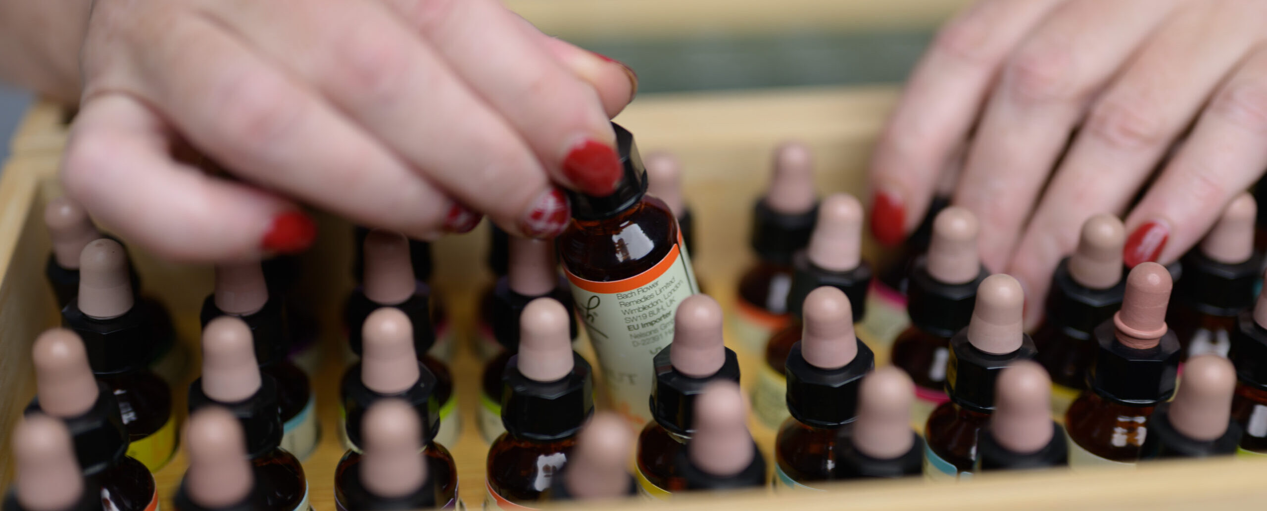 רביד בוחרת בקבוק מהערכה - קבלת החלטות ובחירת פרחי באך