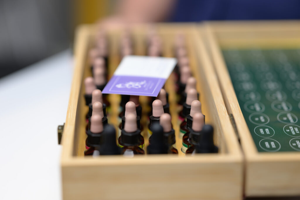 ערכת פרחי באך