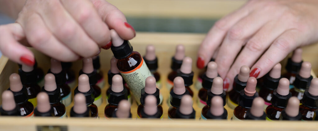 רביד בוחרת תמציות פרחי באך לילדים