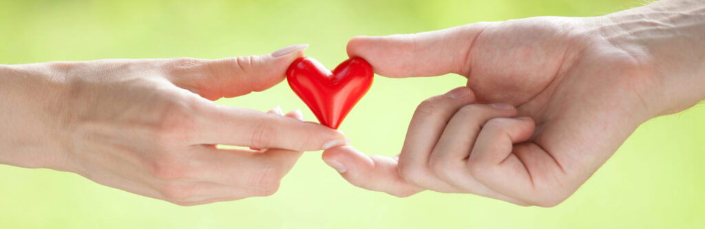 ידיים מחזיקות לב - תמצית צ'יקורי פועלת לאהבה ללא מניפולציה רגשית