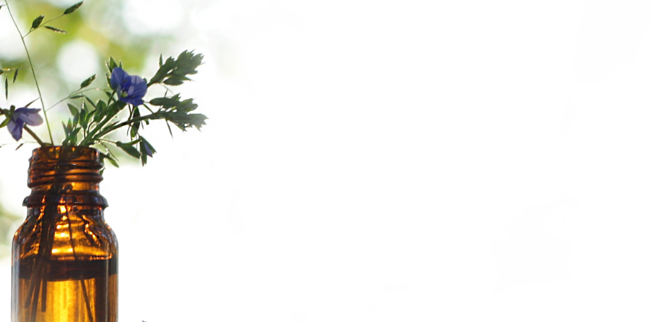 פרחים בתול בקבוקון, טיפול בפרחי באך